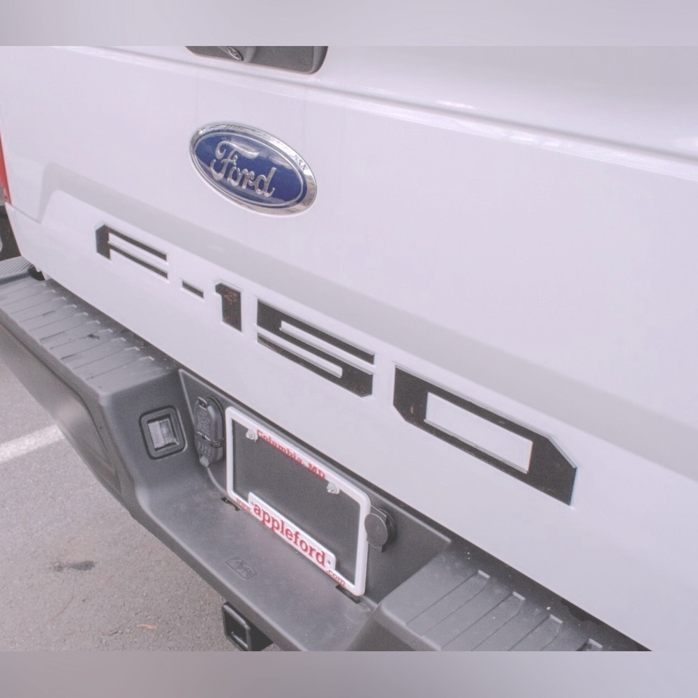 Ronin Ford f150 Truck Emblem Tailgate Letters